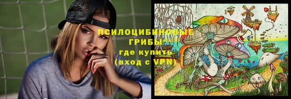 мдпв Надым